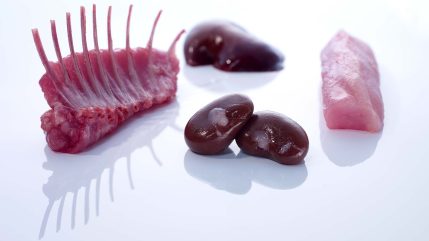 Food Fotograf Düsseldorf Kaninchen Rücken Leber Nieren