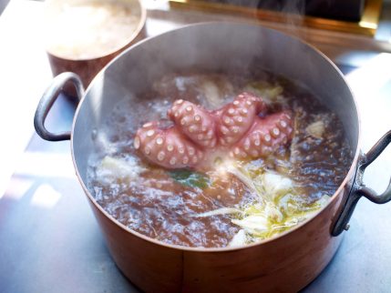 Food Fotograf Düsseldorf Pulpo Titenfisch